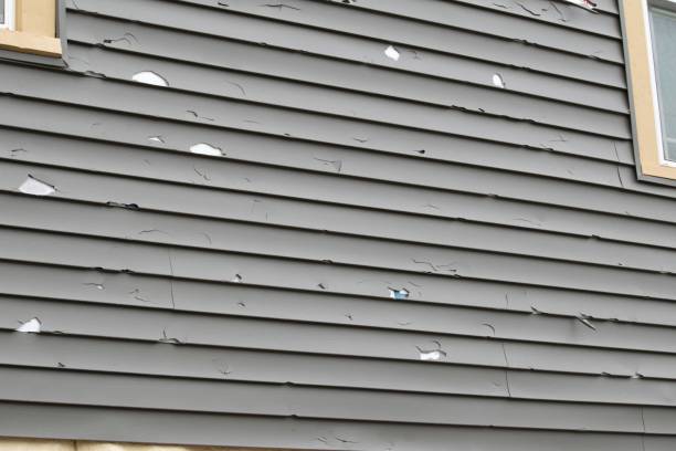 Best Siding for New Construction  in Burlington, NC