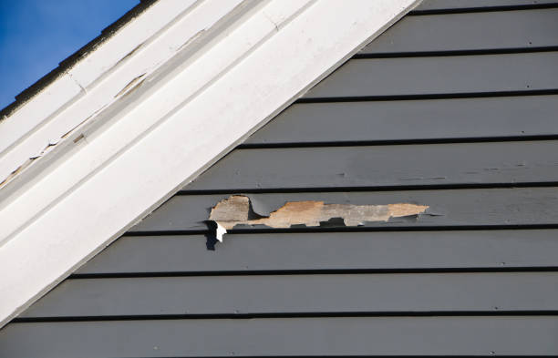 Affordable siding repair and maintenance services in Burlington, NC